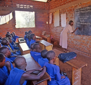 Educación / Foto de Pecold / Shutterstock.com